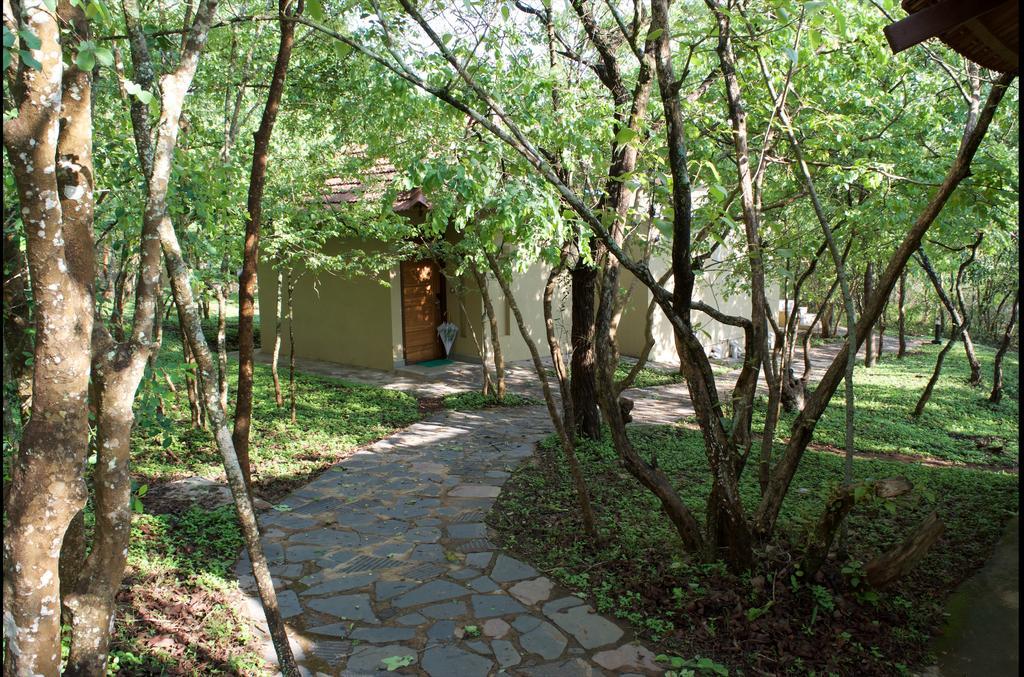 The Windflower Jungle Resort & Spa, Bandipūr Exterior foto