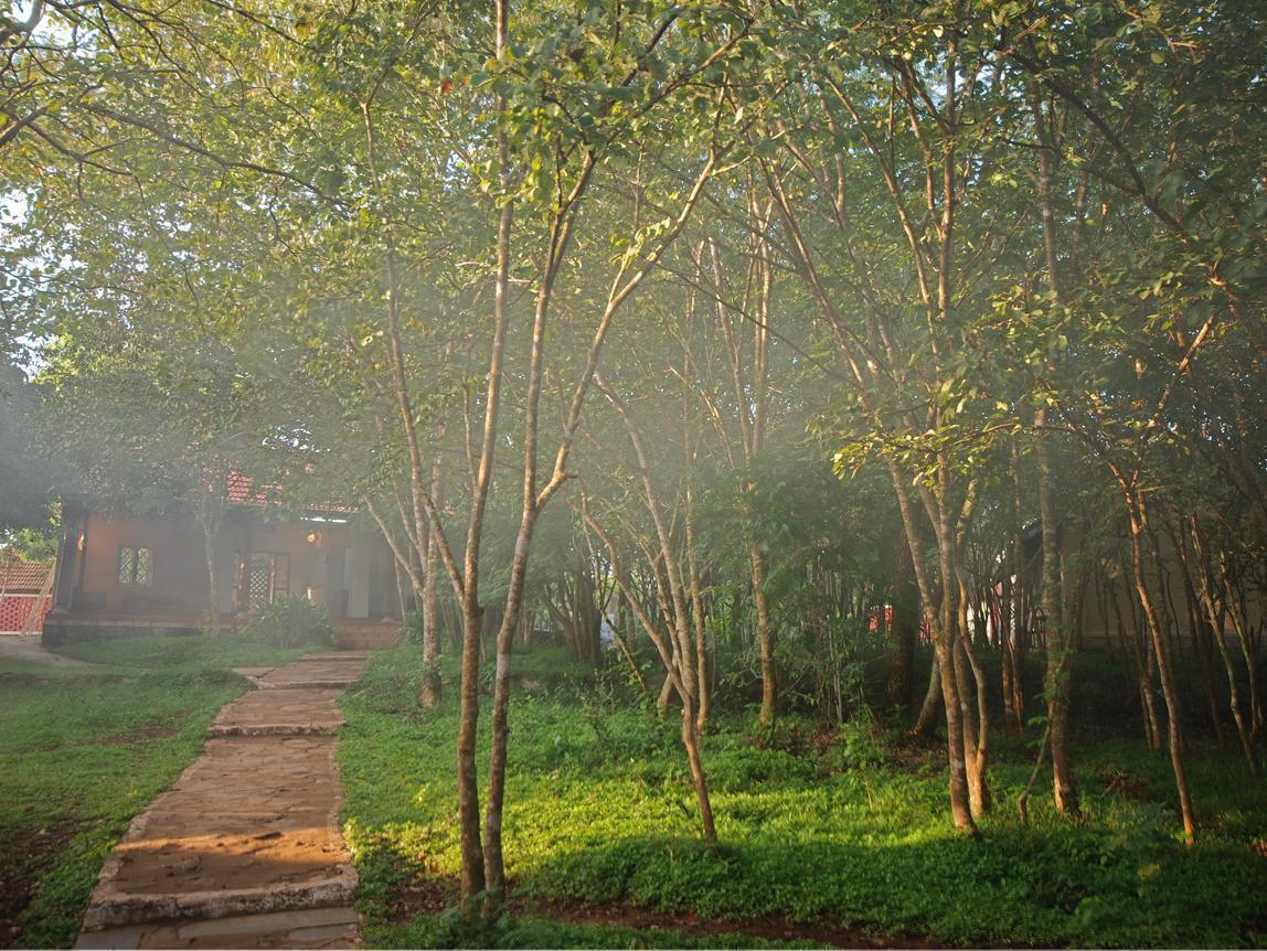 The Windflower Jungle Resort & Spa, Bandipūr Exterior foto